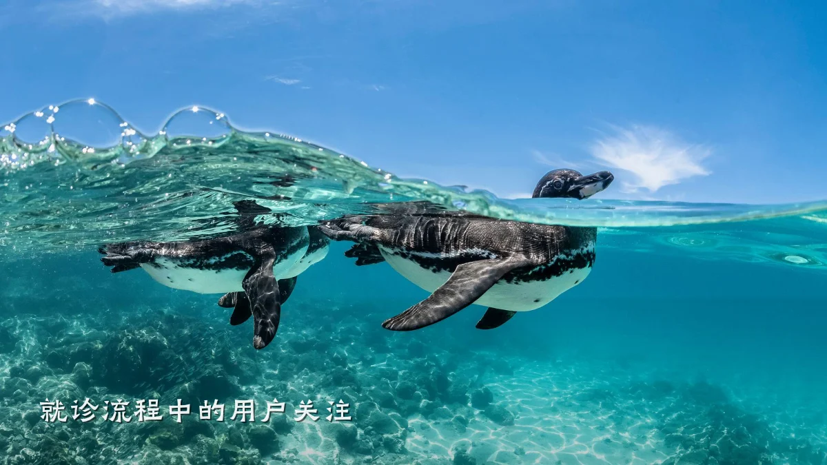 就诊流程中的用户关注