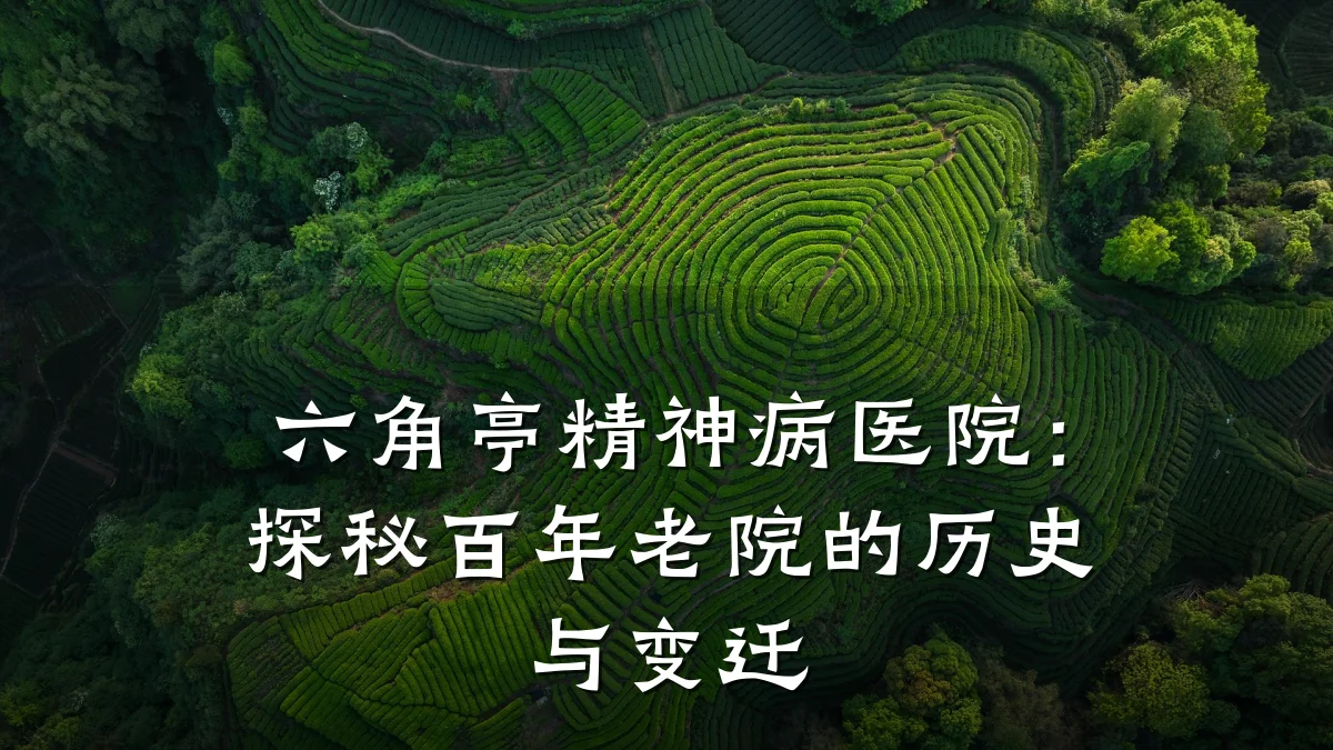 六角亭精神病医院:探秘百年老院的历史与变迁