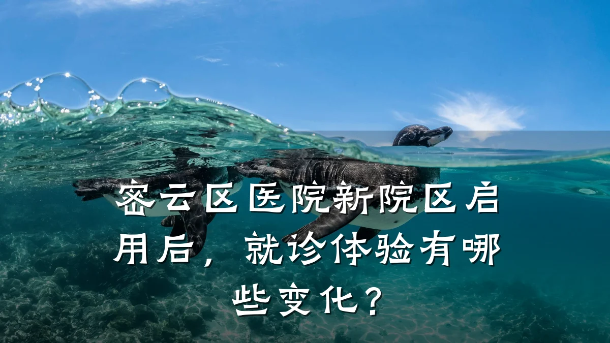 密云区医院新院区启用后,就诊体验有哪些变化?
