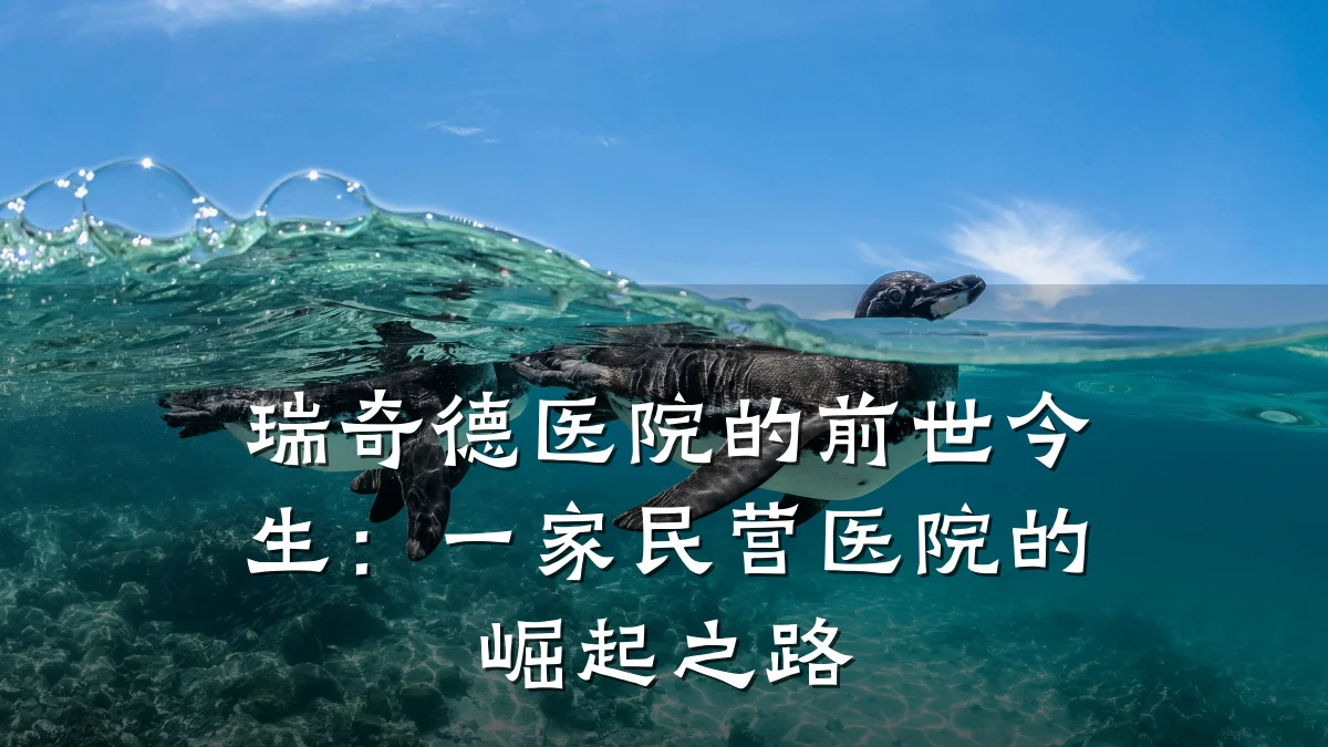 瑞奇德医院的前世今生：一家民营医院的崛起之路