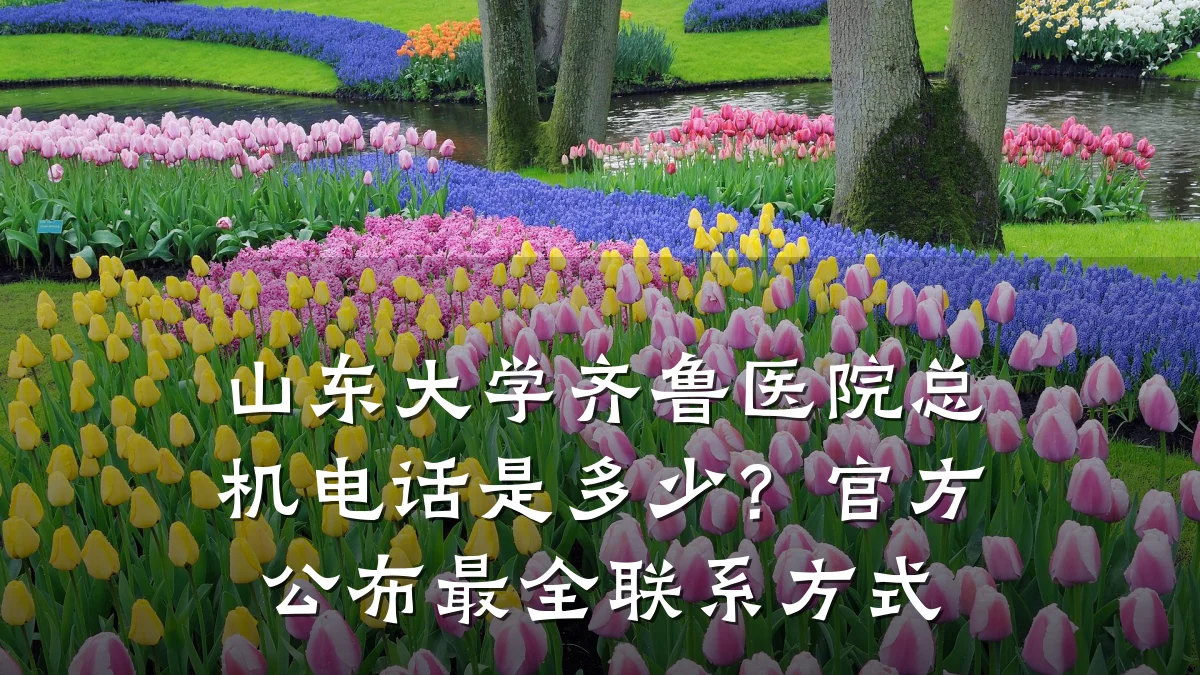 山东大学齐鲁医院总机电话是多少?官方公布最全联系方式