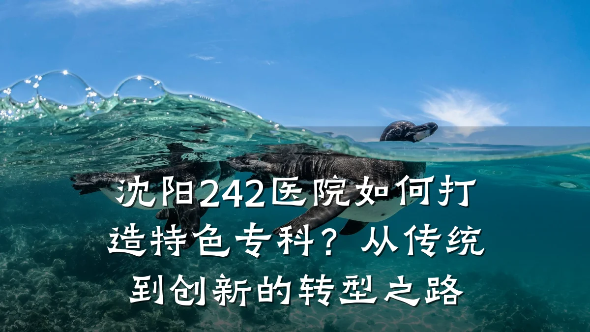 沈阳242医院如何打造特色专科？从传统到创新的转型之路