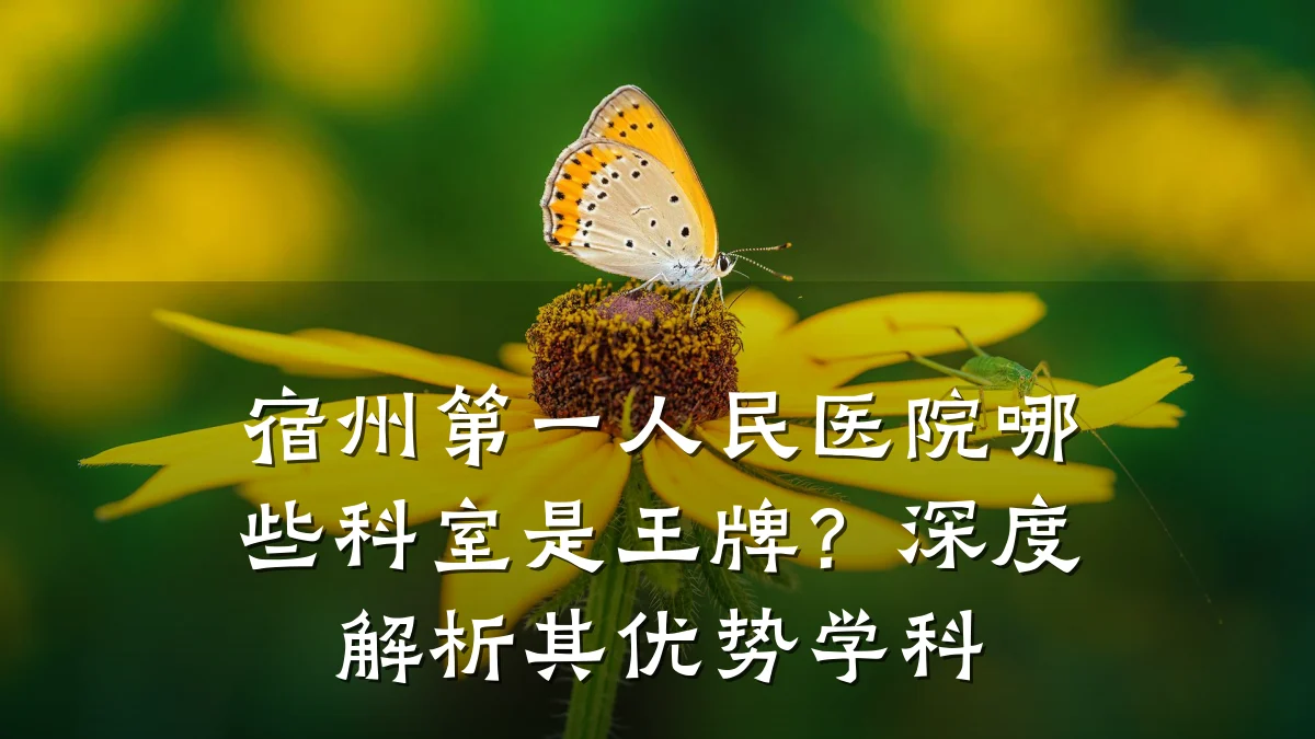 宿州第一人民医院哪些科室是王牌?深度解析其优势学科