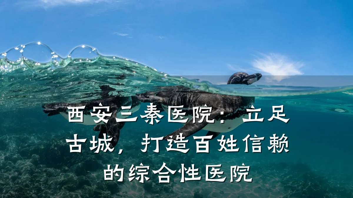 西安三秦医院:立足古城,打造百姓信赖的综合性医院