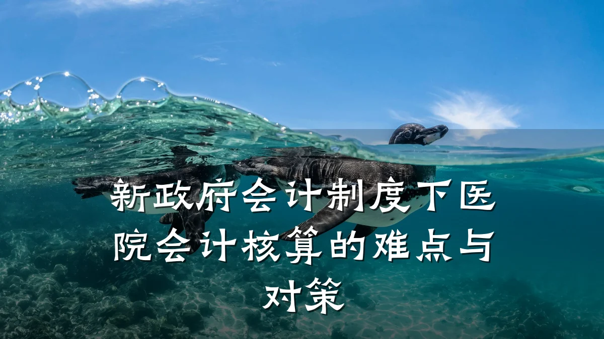 新政府会计制度下医院会计核算的难点与对策