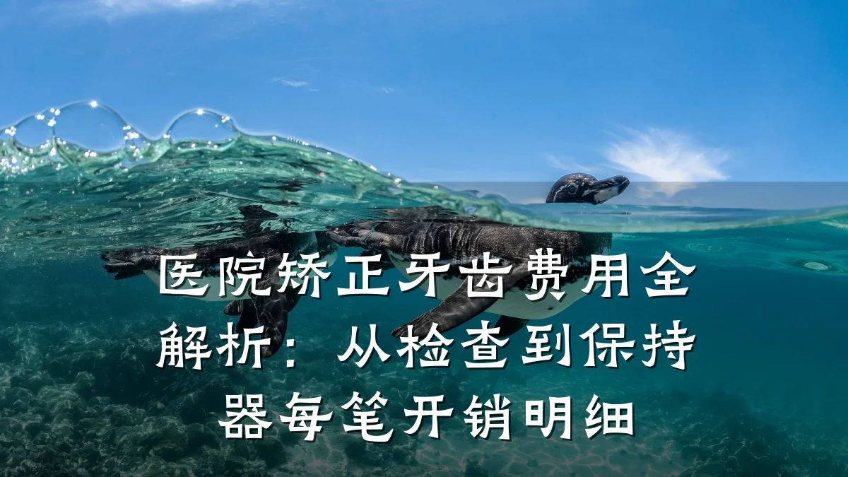 医院矫正牙齿费用全解析：从检查到保持器每笔开销明细