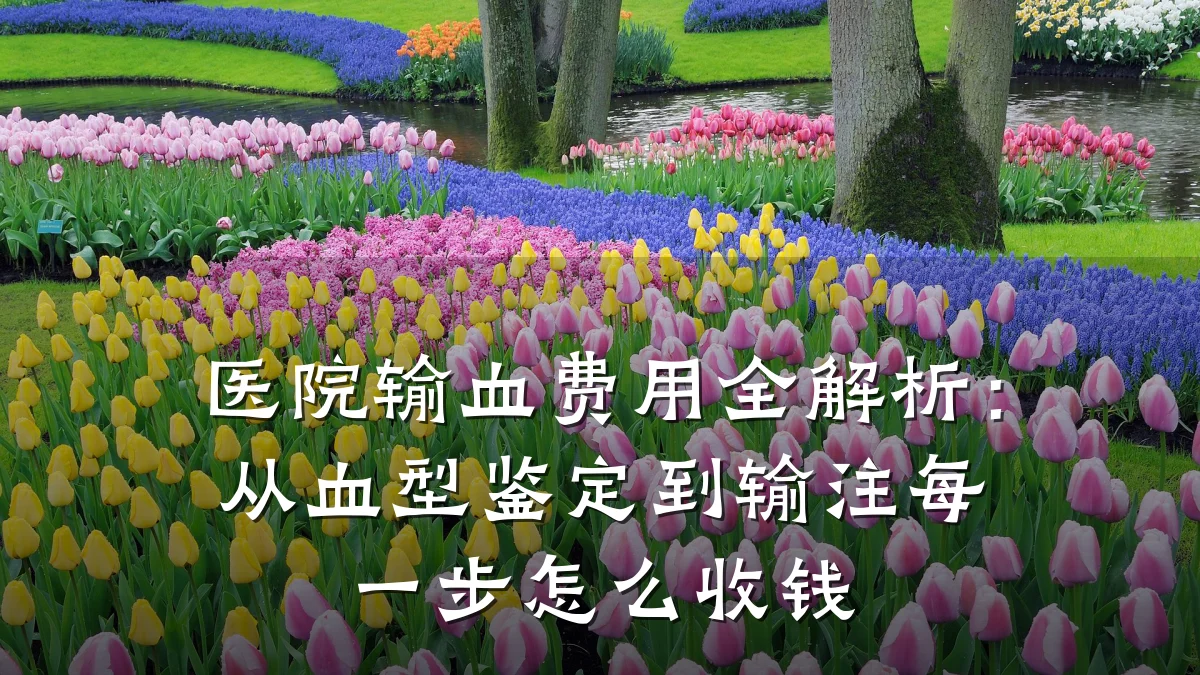 医院输血费用全解析：从血型鉴定到输注每一步怎么收钱