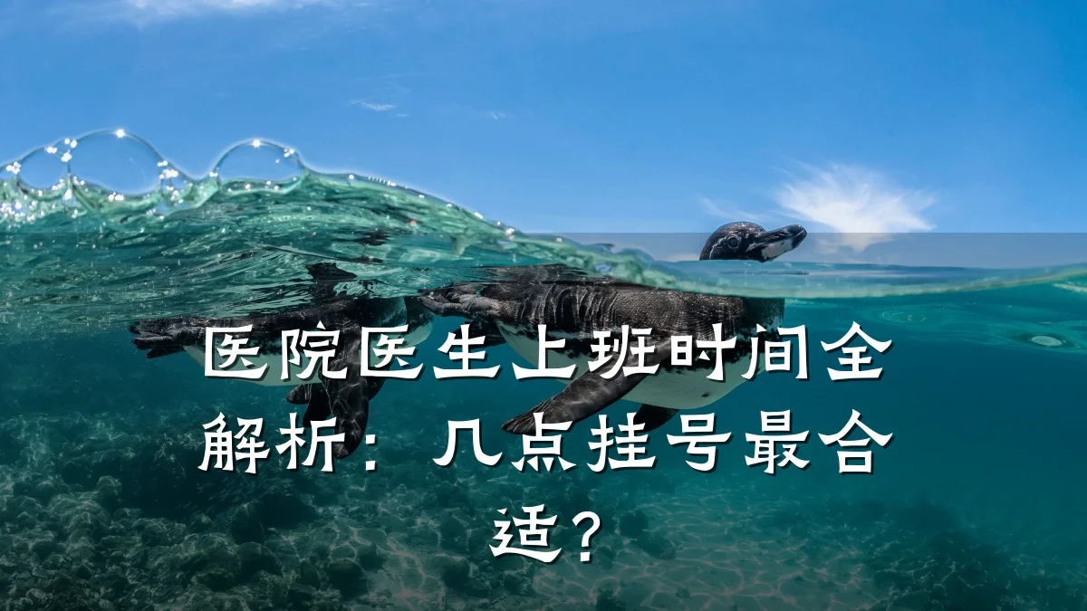 医院医生上班时间全解析：几点挂号最合适？