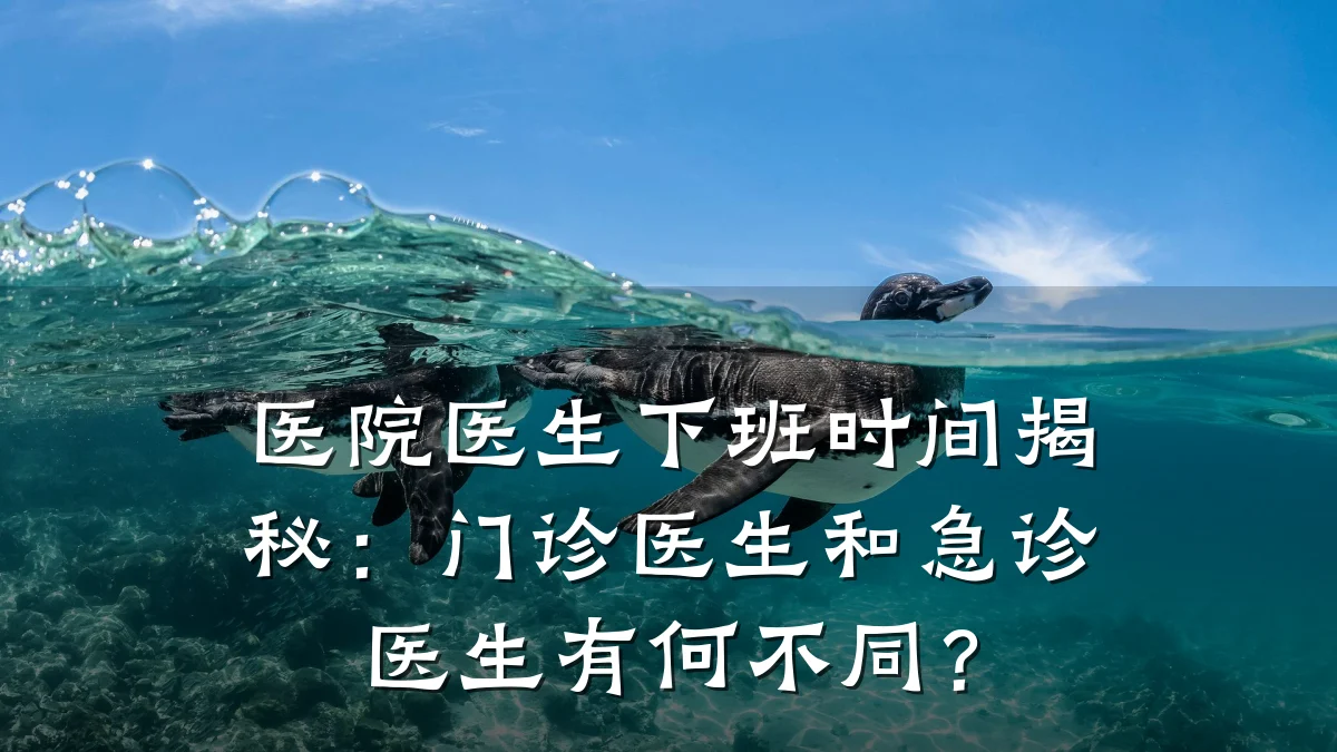 医院医生下班时间揭秘：门诊医生和急诊医生有何不同？
