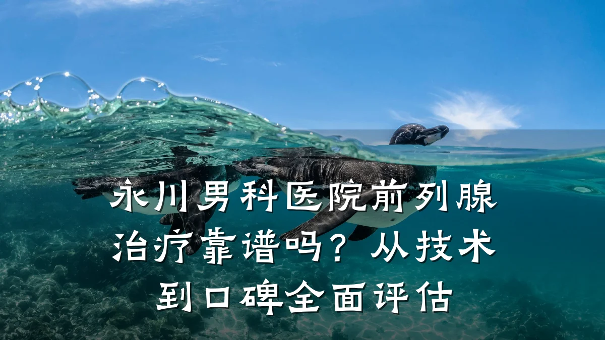 永川男科医院前列腺治疗靠谱吗？从技术到口碑全面评估