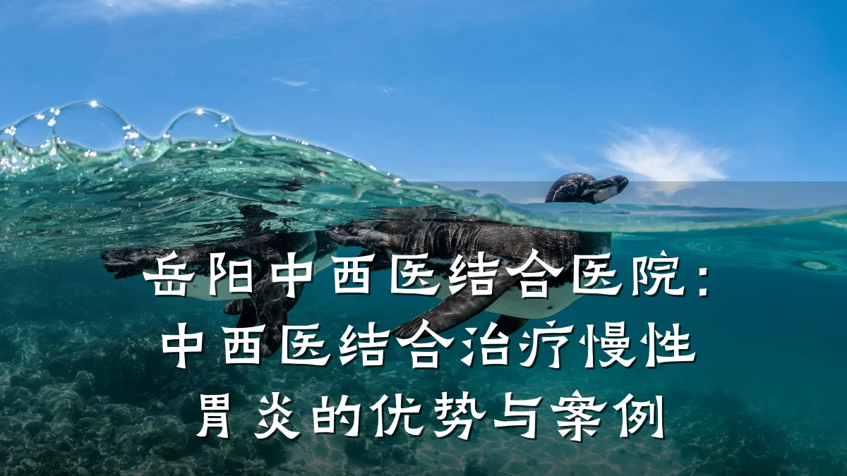 岳阳中西医结合医院:中西医结合治疗慢性胃炎的优势与案例