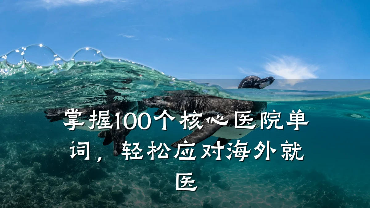 掌握100个核心医院单词,轻松应对海外就医
