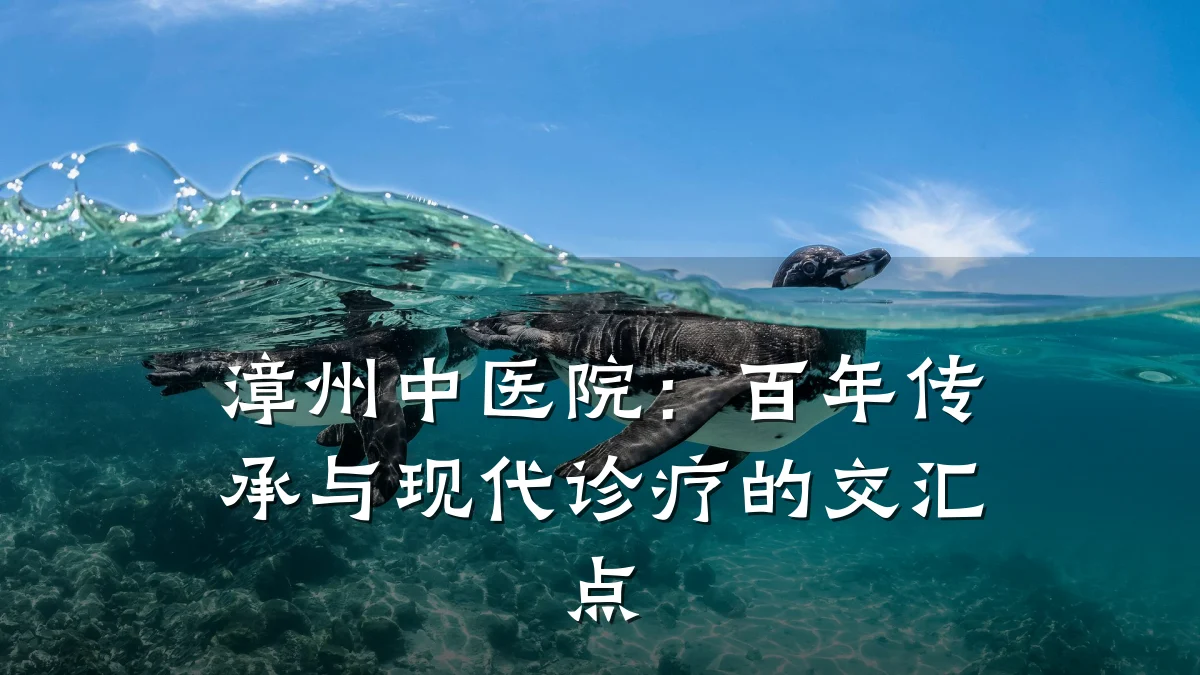 漳州中医院:百年传承与现代诊疗的交汇点