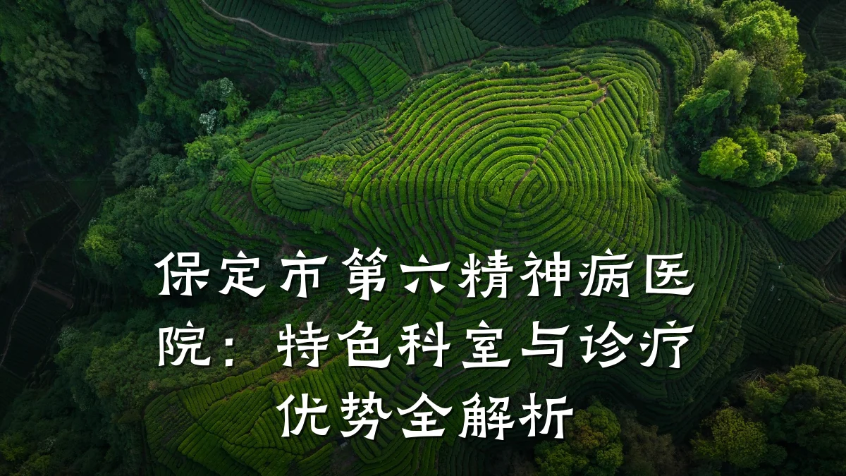 保定市第六精神病医院:特色科室与诊疗优势全解析