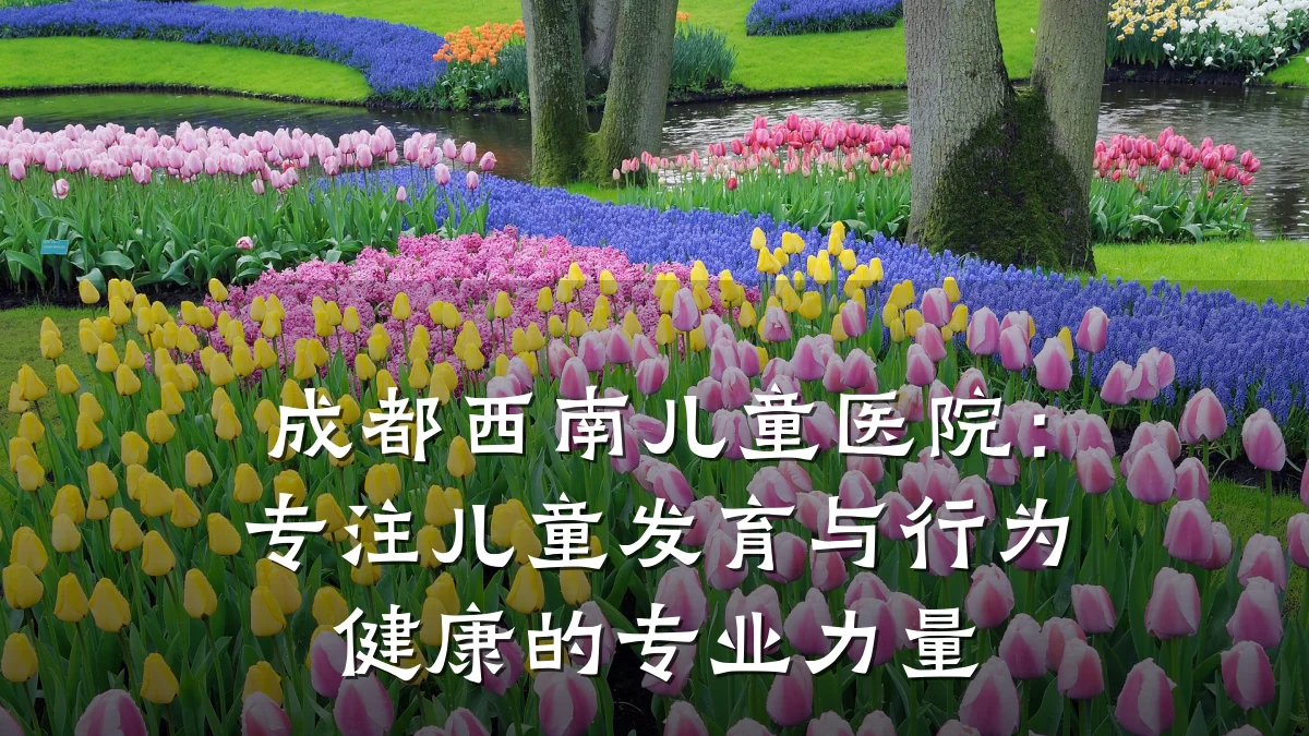 成都西南儿童医院:专注儿童发育与行为健康的专业力量