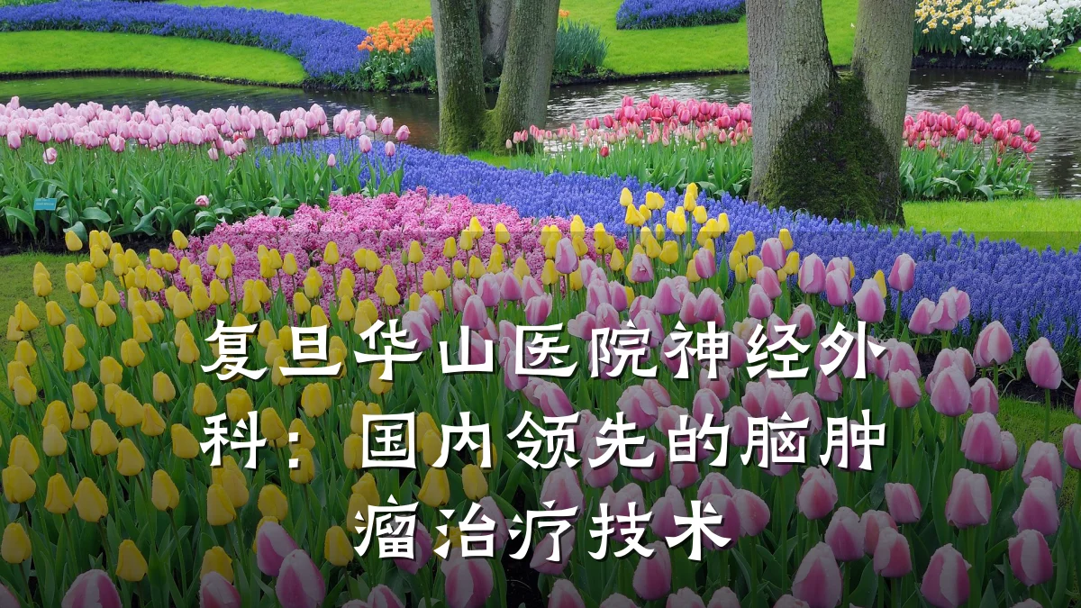 复旦华山医院神经外科:国内领先的脑肿瘤治疗技术