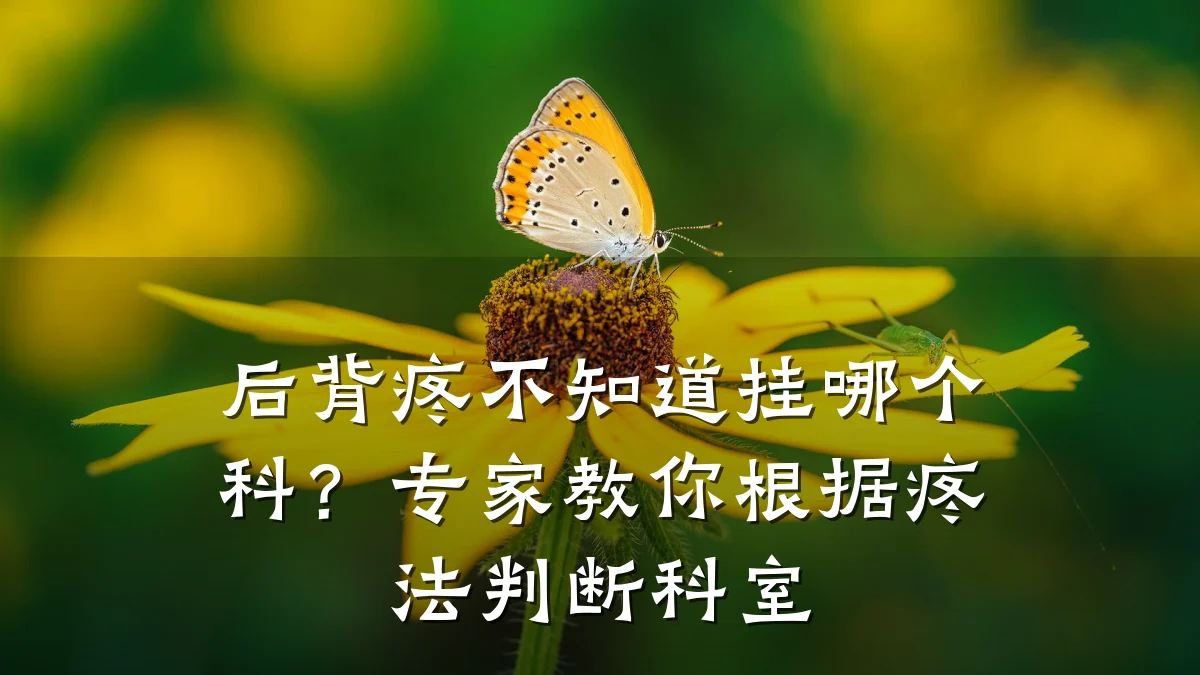 后背疼不知道挂哪个科?专家教你根据疼法判断科室