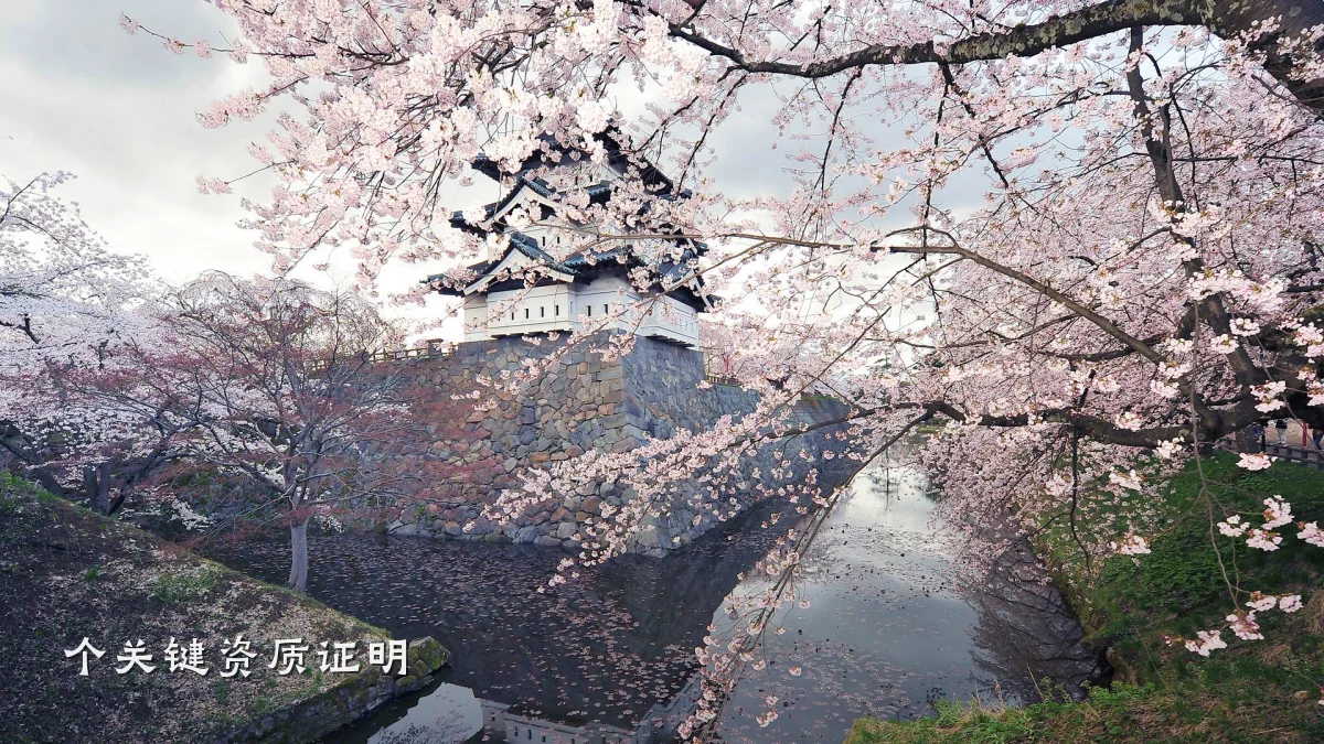 个关键资质证明