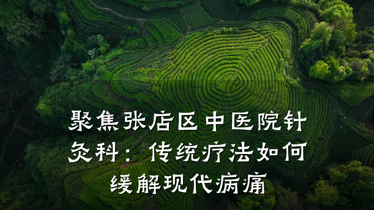 聚焦张店区中医院针灸科:传统疗法如何缓解现代病痛