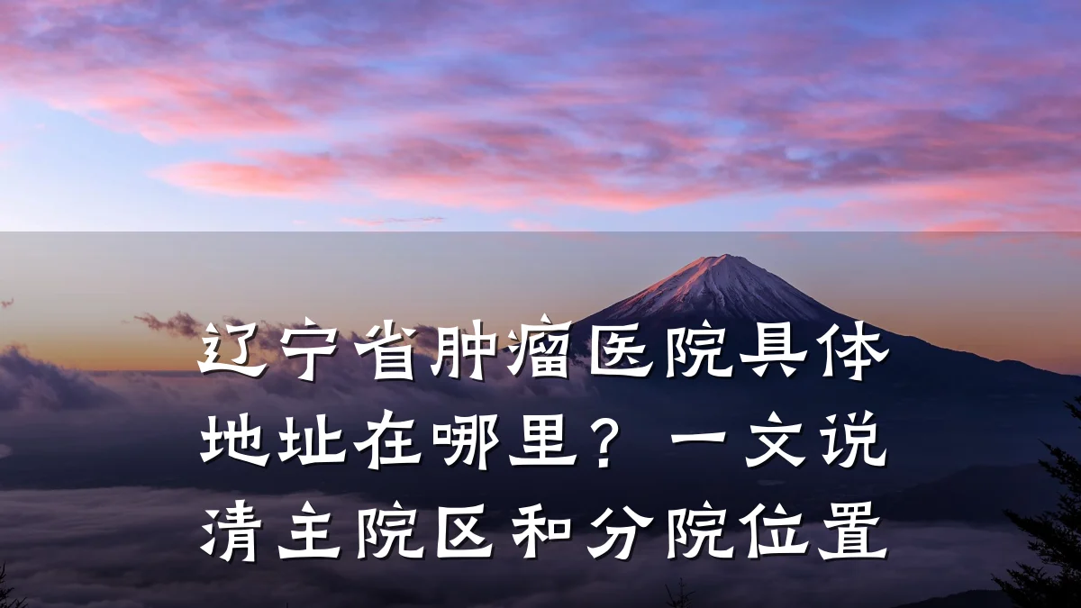 辽宁省肿瘤医院具体地址在哪里？一文说清主院区和分院位置