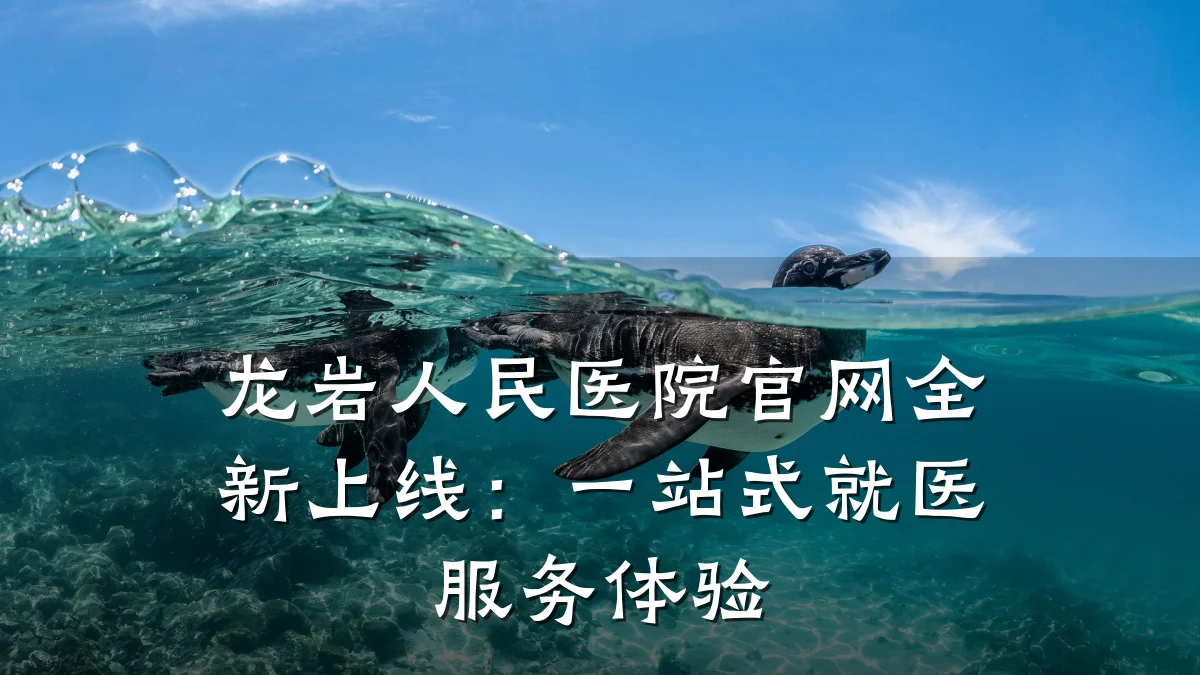 龙岩人民医院官网全新上线:一站式就医服务体验