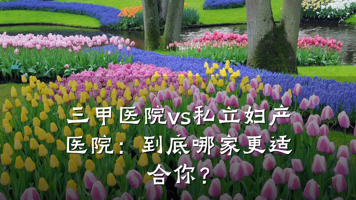 三甲医院vs私立妇产医院:到底哪家更适合你?