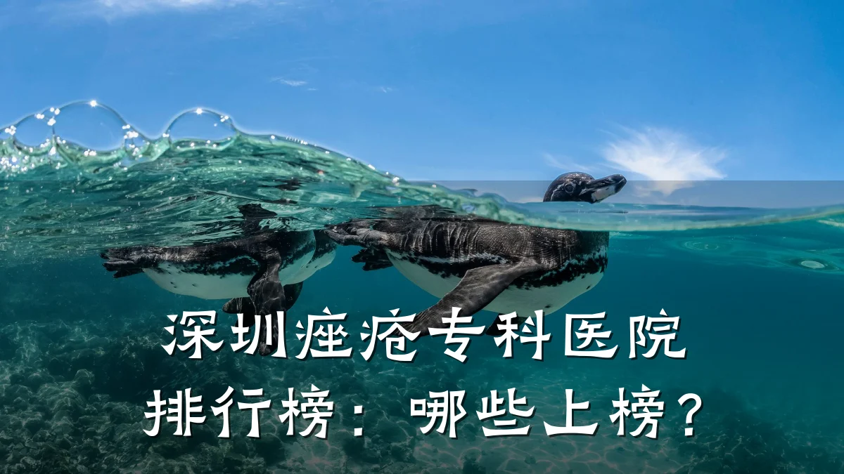 深圳痤疮专科医院排行榜:哪些上榜?