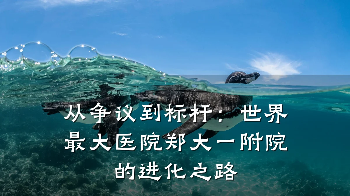 从争议到标杆：世界最大医院郑大一附院的进化之路