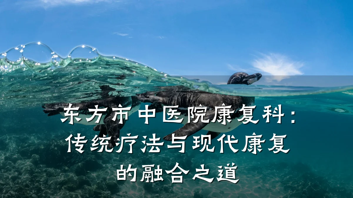东方市中医院康复科:传统疗法与现代康复的融合之道