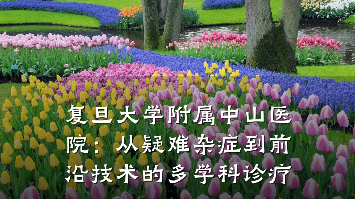 复旦大学附属中山医院:从疑难杂症到前沿技术的多学科诊疗