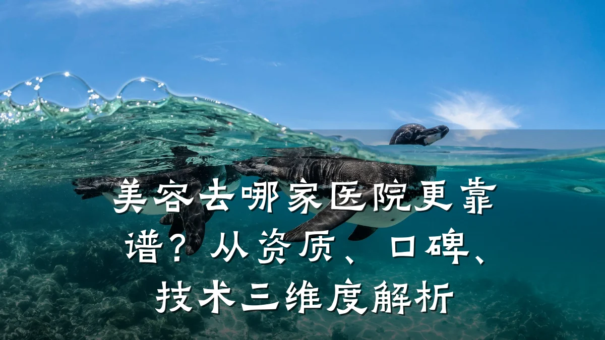美容去哪家医院更靠谱？从资质、口碑、技术三维度解析