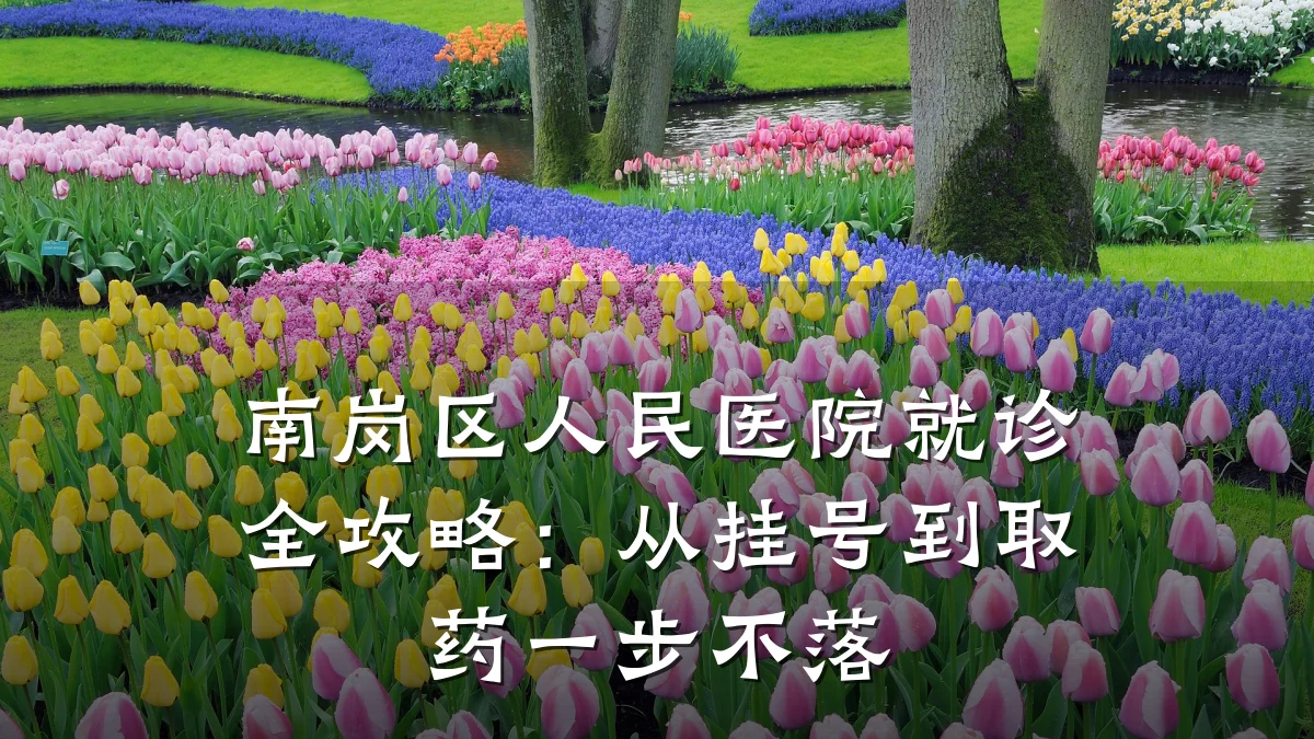南岗区人民医院就诊全攻略:从挂号到取药一步不落