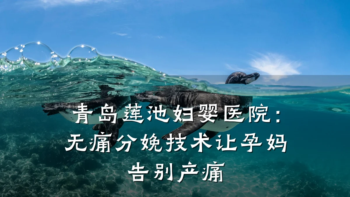 青岛莲池妇婴医院:无痛分娩技术让孕妈告别产痛