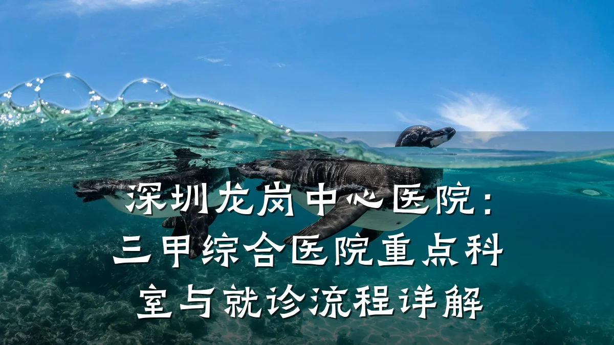 深圳龙岗中心医院:三甲综合医院重点科室与就诊流程详解