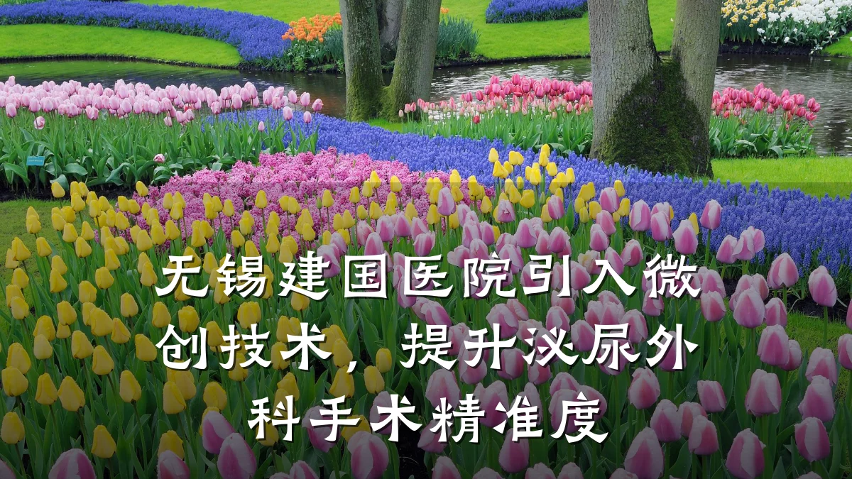无锡建国医院引入微创技术,提升泌尿外科手术精准度