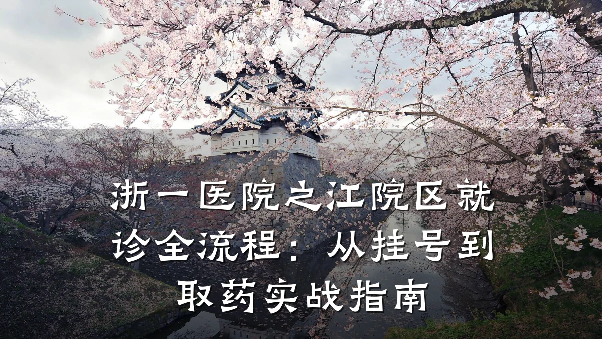 浙一医院之江院区就诊全流程：从挂号到取药实战指南