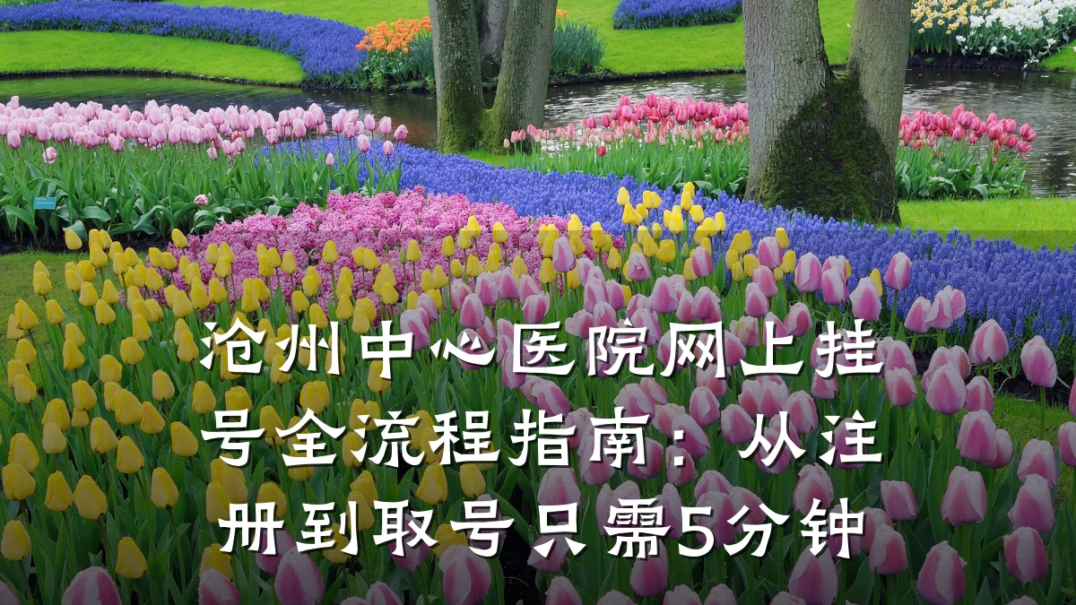 沧州中心医院网上挂号全流程指南:从注册到取号只需5分钟