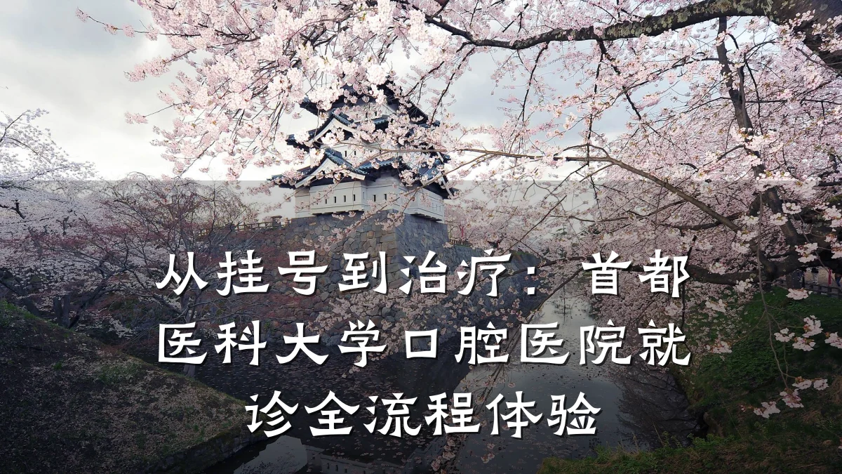 从挂号到治疗:首都医科大学口腔医院就诊全流程体验