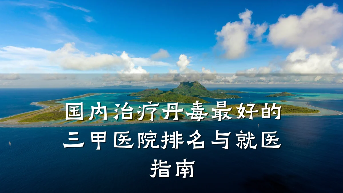 国内治疗丹毒最好的三甲医院排名与就医指南
