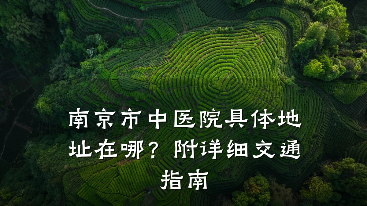 南京市中医院具体地址在哪?附详细交通指南