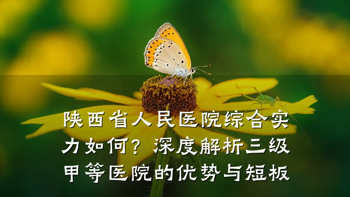 陕西省人民医院综合实力如何?深度解析三级甲等医院的优势与短板