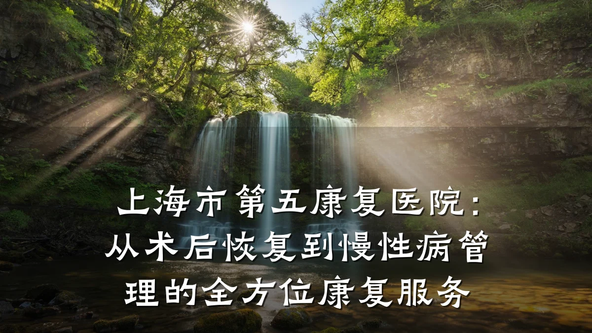 上海市第五康复医院:从术后恢复到慢性病管理的全方位康复服务
