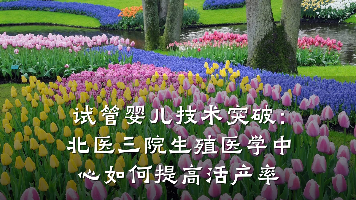 试管婴儿技术突破:北医三院生殖医学中心如何提高活产率