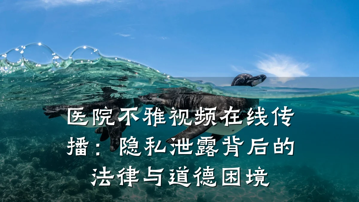 医院不雅视频在线传播:隐私泄露背后的法律与道德困境