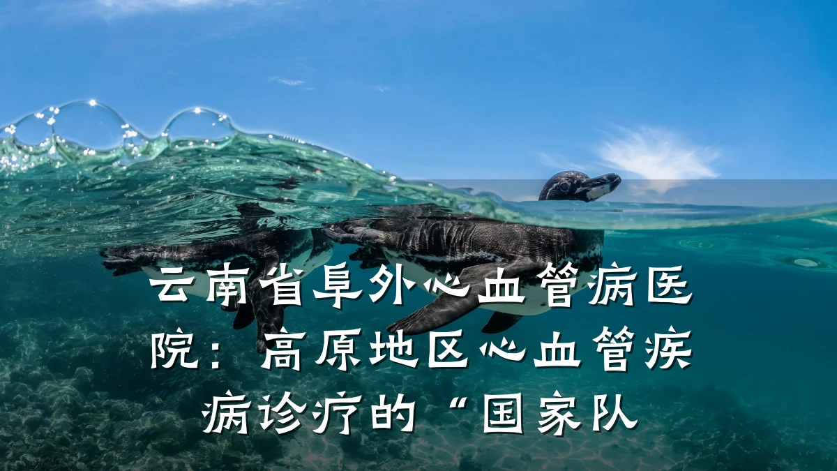 云南省阜外心血管病医院:高原地区心血管疾病诊疗的“国家队