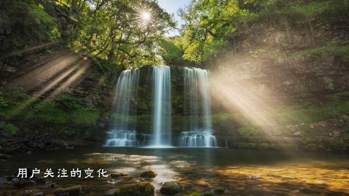 用户关注的变化