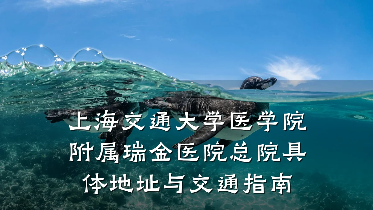 上海交通大学医学院附属瑞金医院总院具体地址与交通指南