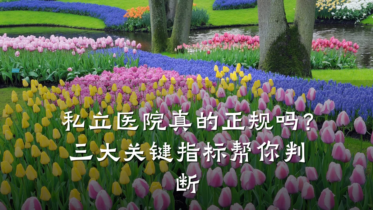 私立医院真的正规吗？三大关键指标帮你判断