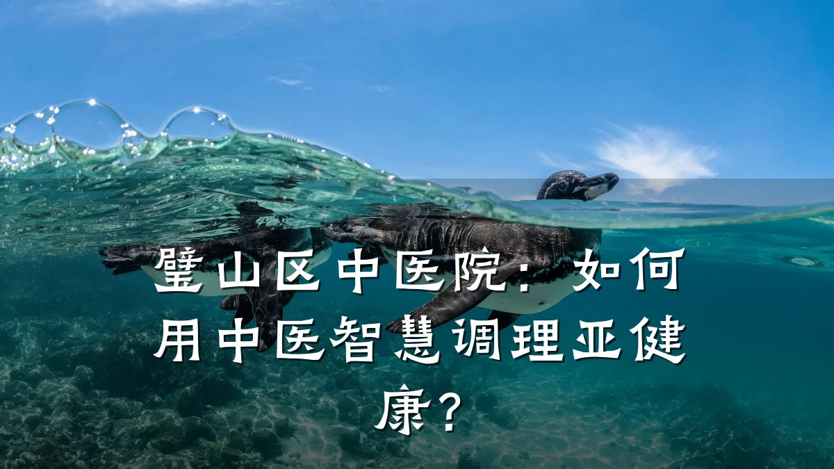 璧山区中医院:如何用中医智慧调理亚健康?