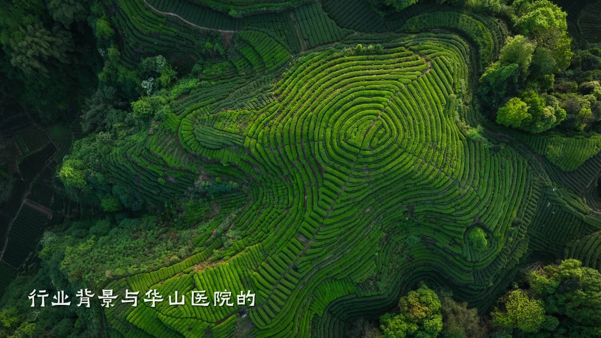 行业背景与华山医院的